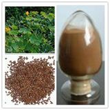 Cassia Seed Extract