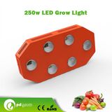 2014 China Hot Selling Alibaba Express LED Grow Lights