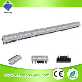 60W Yellow High Power New LED Wall Washer