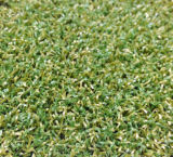 Synthetic Turf for Golf Course (PG-10PP)