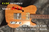 Sbf-Tel Thinline 5A Flamed Maple Alder Guitar
