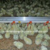Auto Poultry Nipple Waterline with No Leakage
