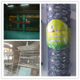 Hexagonal Wire Netting (20years factory)