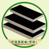 Black Film Faced Plywood for Concrete Shuttering (w15096)