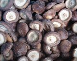 Whole IQF Shiitake Mushroom