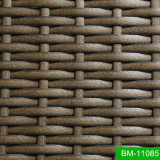 Outdoor Decorative Plastic Walling Fiber (BM-11085)