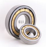 Cylindrical Roller Bearings
