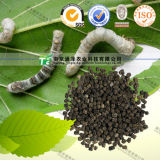 for Migrainehigh Quality Herbal Medicine Silkworm Faeces