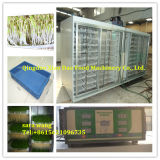Animal Feed Growing Machine/Grass Growing Machine/+8615621096735