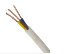 Fluoroplastic Shield Cable with Nominal Voltage 600W