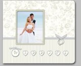 Wedding Album Baby Album Family Album Whkp140116