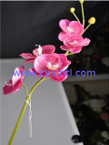 Real Touch PU Artificial Phalaenopsis Flowers