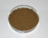 Squid Liver Powder (XF-04)