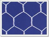 Hexagonal Wire Mesh