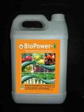 BioPower-k Seaweed Extract