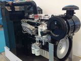 Diesel Engine for Lovol 11006c-P6tag3