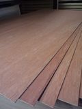 Commercial Plywood (3.6mm)