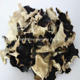 Organic Air-Dried White Back Black Fungus Contain High Medicinal Value