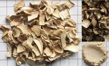 Dried Mushroom