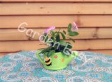 5.5 Inch Colorized Terracotta Garden Pot (901011) 