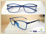 (R616) Directly Factory Selling Tr90 Optical Frame Eyewear