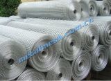 Welded Wire Mesh for Protecting