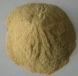 Beer Yeast Powder