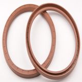 Shaft Oil Seal for Large Steel Mill (zb167A)