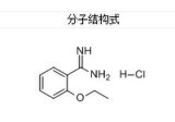 2-Ethoxybenzamidine Hydrochloride, 18637-00-8