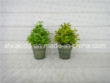 Artificial Plastic Potted Flower (XD15-366A)