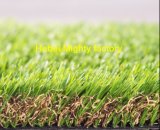 Hybrid Grass for Landscape (MDD00)