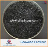 Seaweed Extract Fertilizer Seaweed Fertilizer