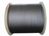 Stainless Aircraft Cable (YS200901)