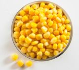 Fresh Canned Sweet Corn Sio Approved