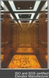 Luxury Passenger Elevator (DAIS218)