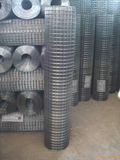 Stainless Steel Wire Mesh