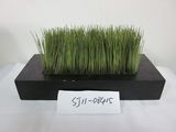 Artificial Grass