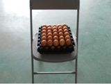Egg Bracket