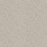 Quartz Stone for Floor/Wall/Work-Top (QS111)