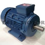 Electric Motor Ms7118-90W-B3