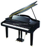 Digital Piano (LP1700)