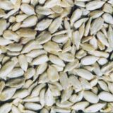 Sunflower Seeds Kernels