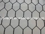 Hexagonal Wire Netting