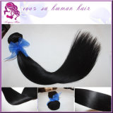 Beijing 2014 New Products Silk Straight Hair Extension