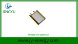 1200mAh Rechargeable Li-Polymer Battery for LED Lamp