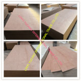 Bintangor Plywood for Furniture for Middle East Market