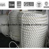 6 Srtand Polypropylene Multifilament &Nylon Monofilament Twist Ship Rope Used on Offshore Platform (C6)