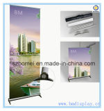 New Design Roll up Stand, Special Roll up Screen, Pull up Banner