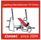 Personal Taining Incline Bench Press Fitness Euipment Suppliers