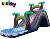 Arched Inflatable Water Slide with Pool